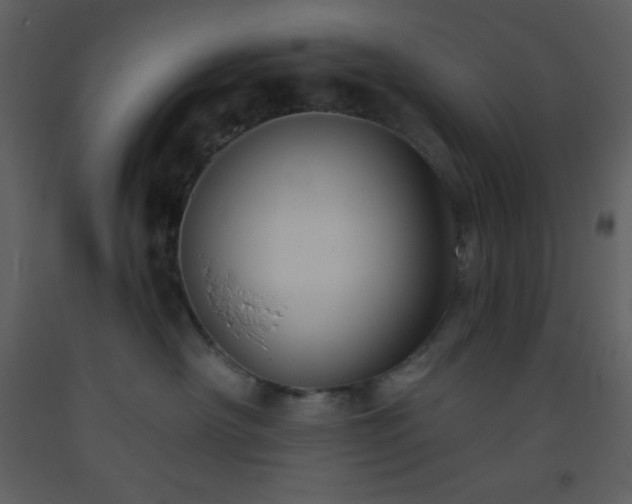 X0000093560430200710221426