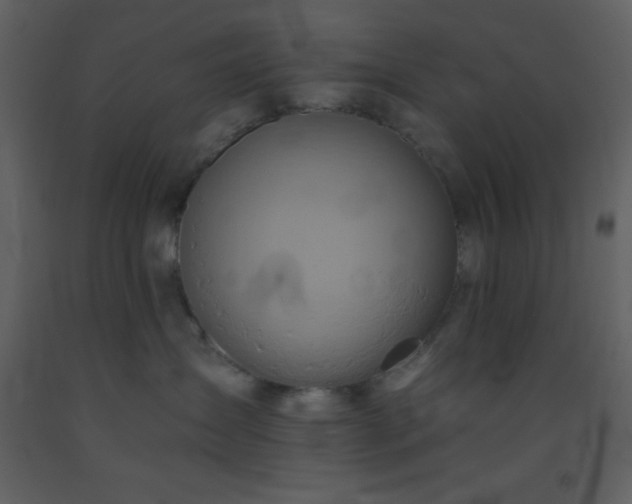 X0000093560431200710221426
