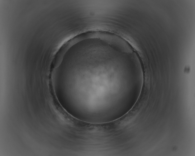 X0000093560434200710221426