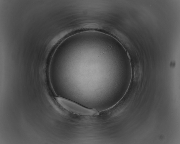 X0000093560436200710221426