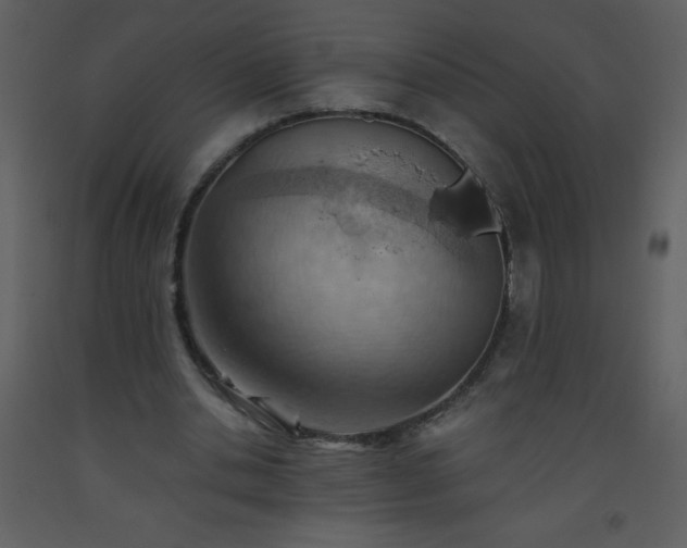 X0000093560438200710221426