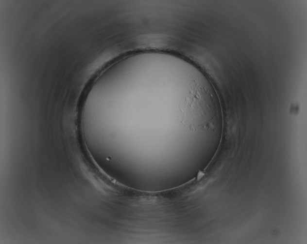 X0000093560439200710221426