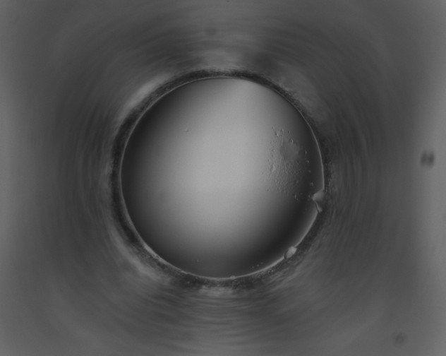 X0000093560440200710221426