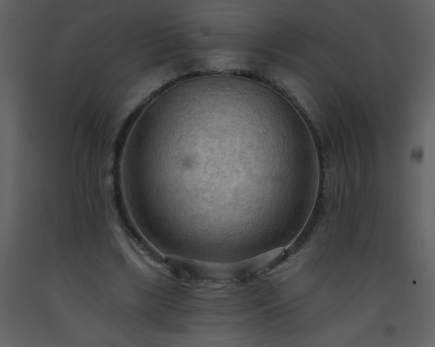 X0000093560443200710221426