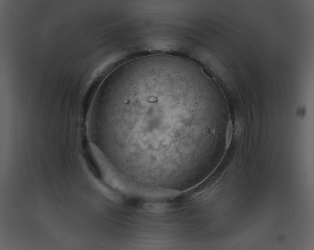 X0000093560444200710221426