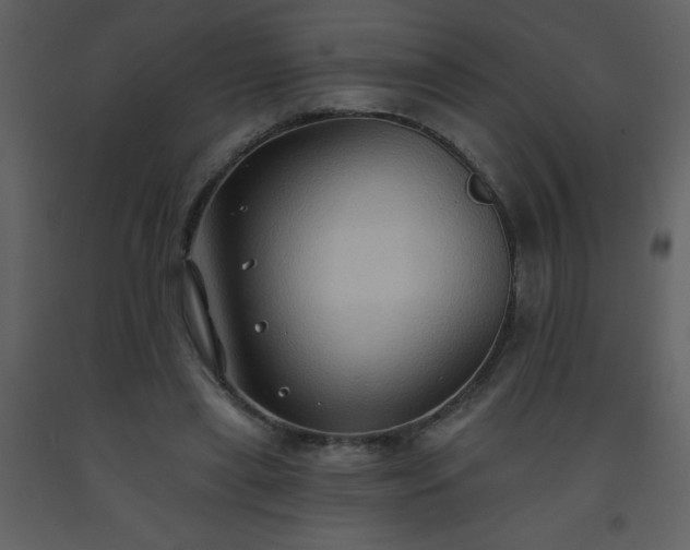 X0000093560445200710221426