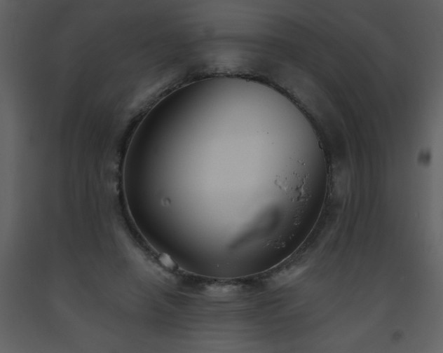 X0000093560450200710221426