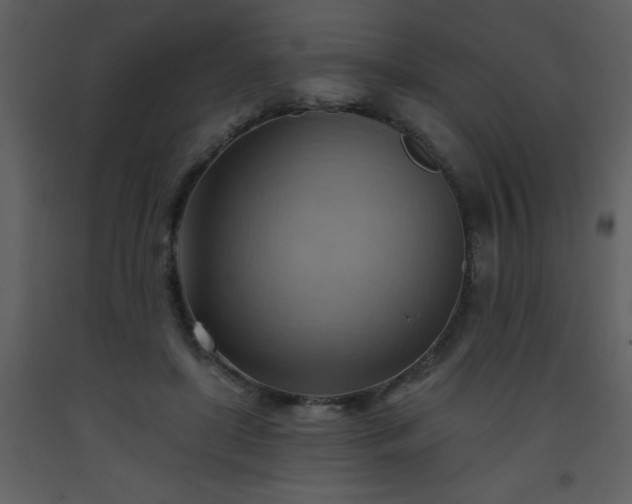 X0000093560451200710221426