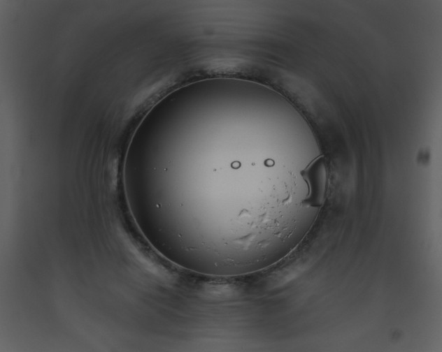 X0000093560454200710221426