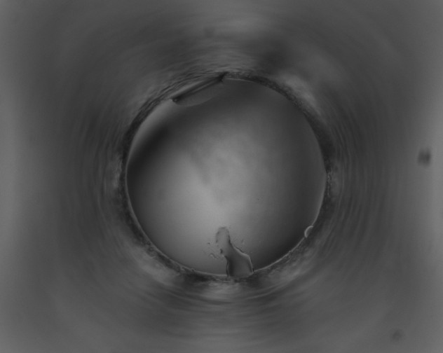 X0000093560458200710221426