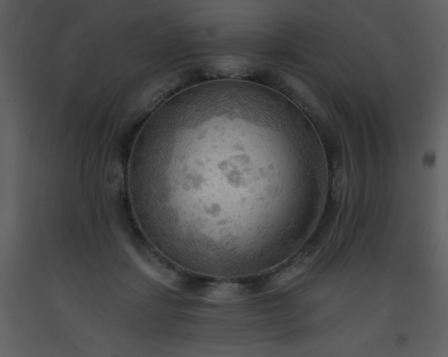 X0000093560459200710221426