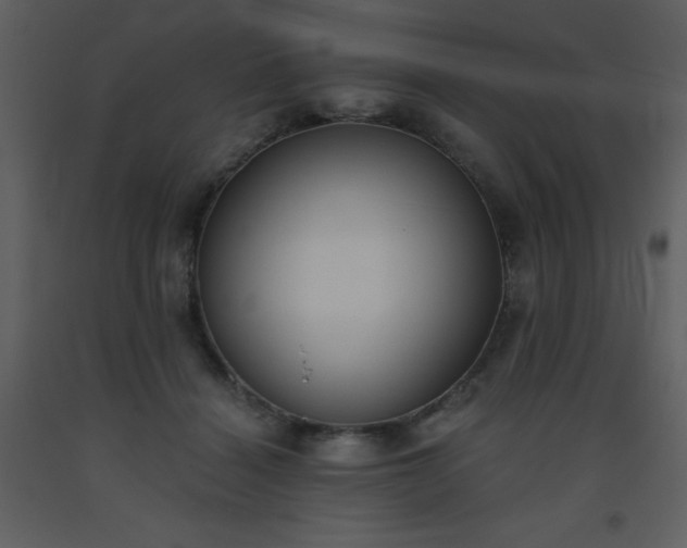 X0000093560460200710221426
