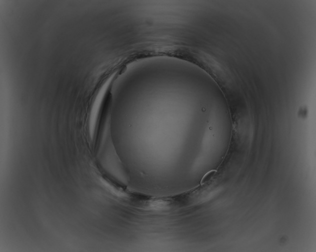 X0000093560462200710221426