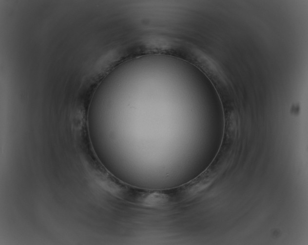 X0000093560463200710221426
