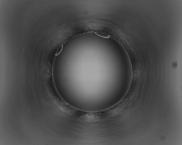 X0000093560464200710221426