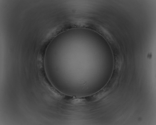 X0000093560465200710221426
