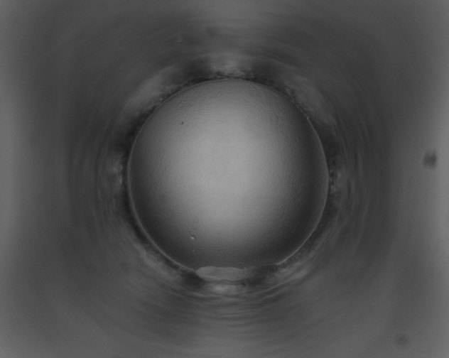 X0000093560466200710221426