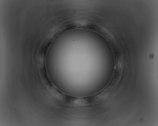 X0000093560468200710221426