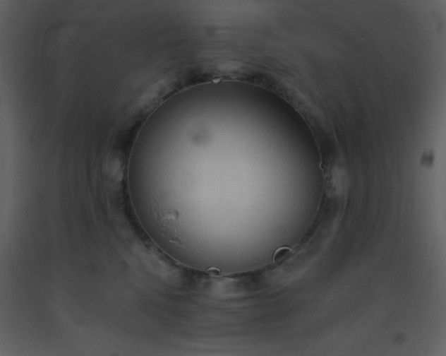 X0000093560472200710221426
