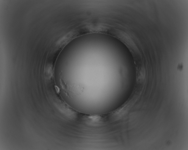 X0000093560478200710221426
