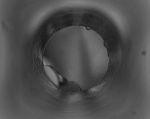X0000093560479200710221426