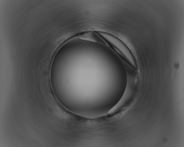 X0000093560481200710221426
