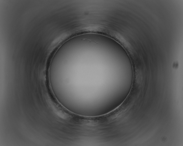 X0000093560486200710221426