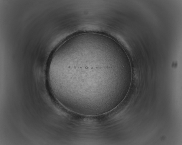 X0000093560487200710221426