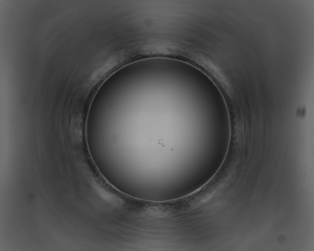 X0000093560489200710221426