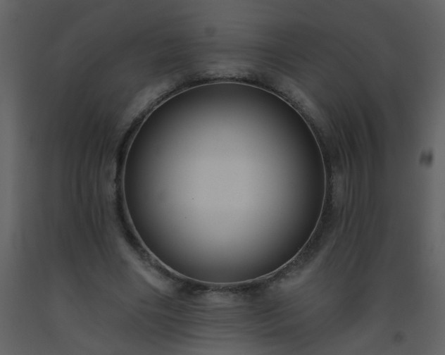 X0000093560490200710221426