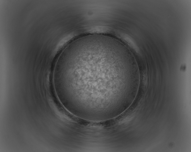 X0000093560491200710221426