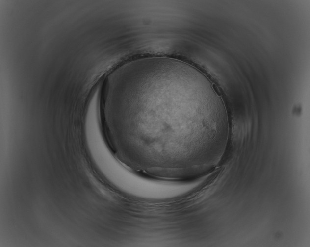 X0000093560493200710221426