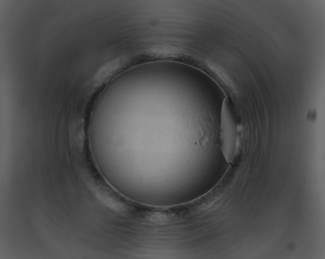 X0000093560494200710221425