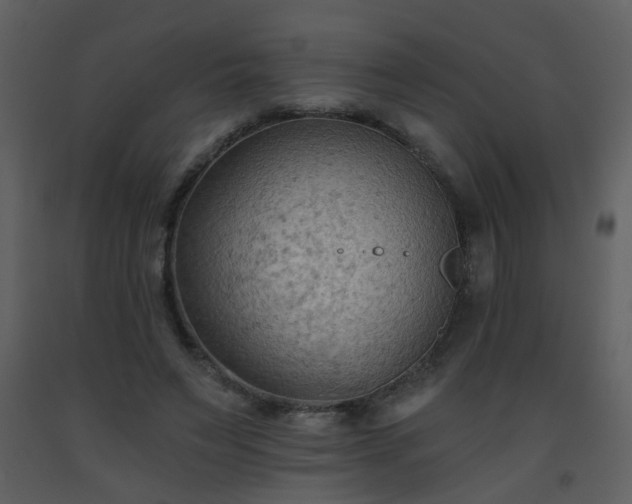 X0000093560495200710221425