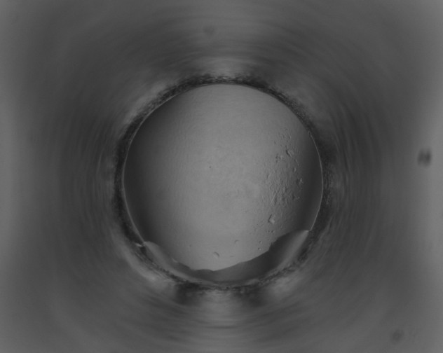 X0000093560496200710221425