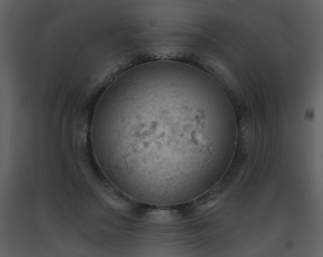 X0000093560499200710221425