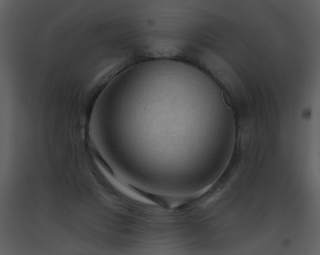 X0000093560501200710221425