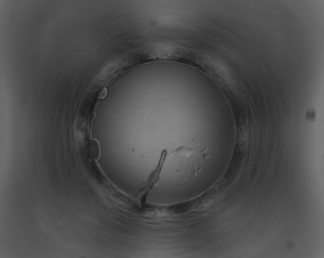 X0000093560503200710221425