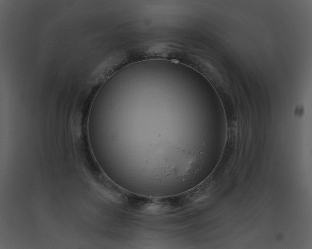 X0000093560504200710221425