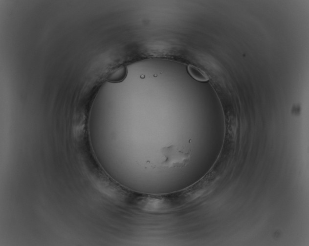 X0000093560507200710221425