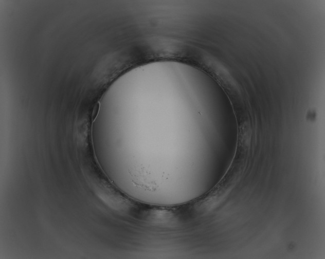 X0000093560509200710221425