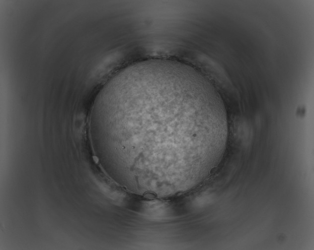 X0000093560511200710221425