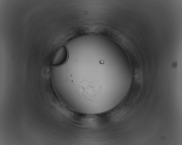 X0000093560514200710221425