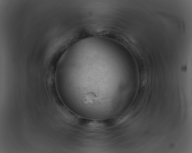 X0000093560515200710221425