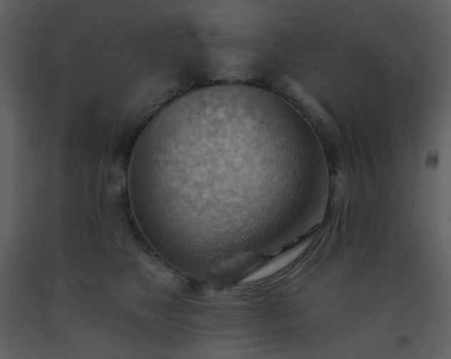X0000093560517200710221425