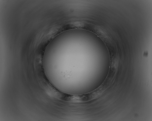 X0000093560518200710221425