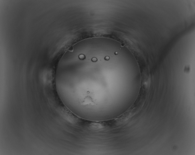 X0000093560519200710221425