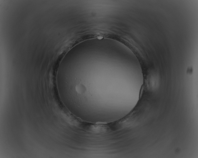 X0000093560520200710221425