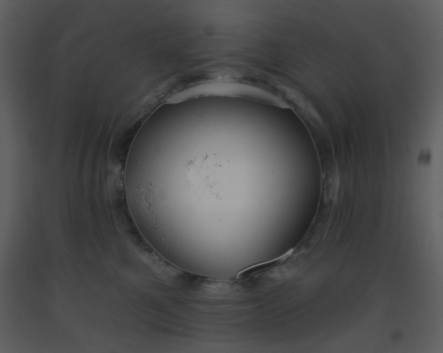 X0000093560521200710221425