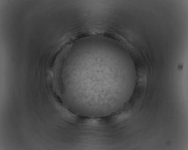 X0000093560523200710221425
